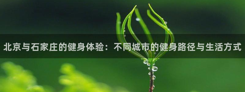 凯捷体育官方网站