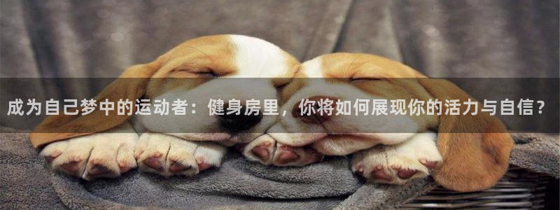 凯捷体育官网