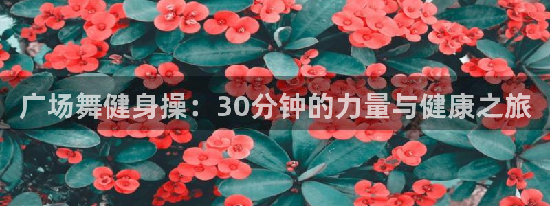 凯捷体育代理