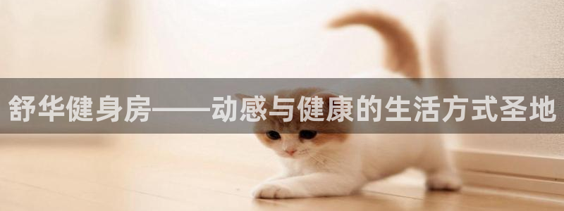凯捷体育招商