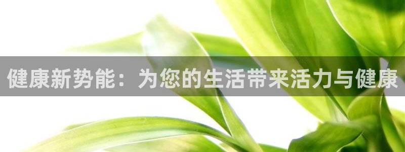 凯捷体育官网